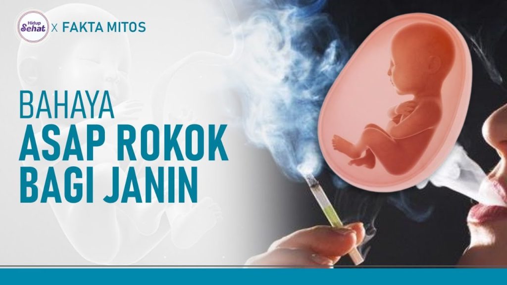 Dampak Paparan Asap Rokok Pada Janin Ancaman Serius Bagi Kehidupan Awal