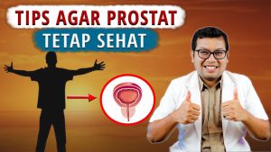 Mengoptimalkan Kesehatan Prostat Panduan Lengkap Bagi Pria
